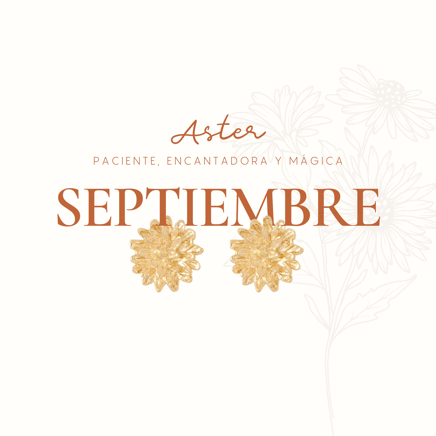 BROQUEL ENTRE FLOR, SEPTIEMBRE- ASTER