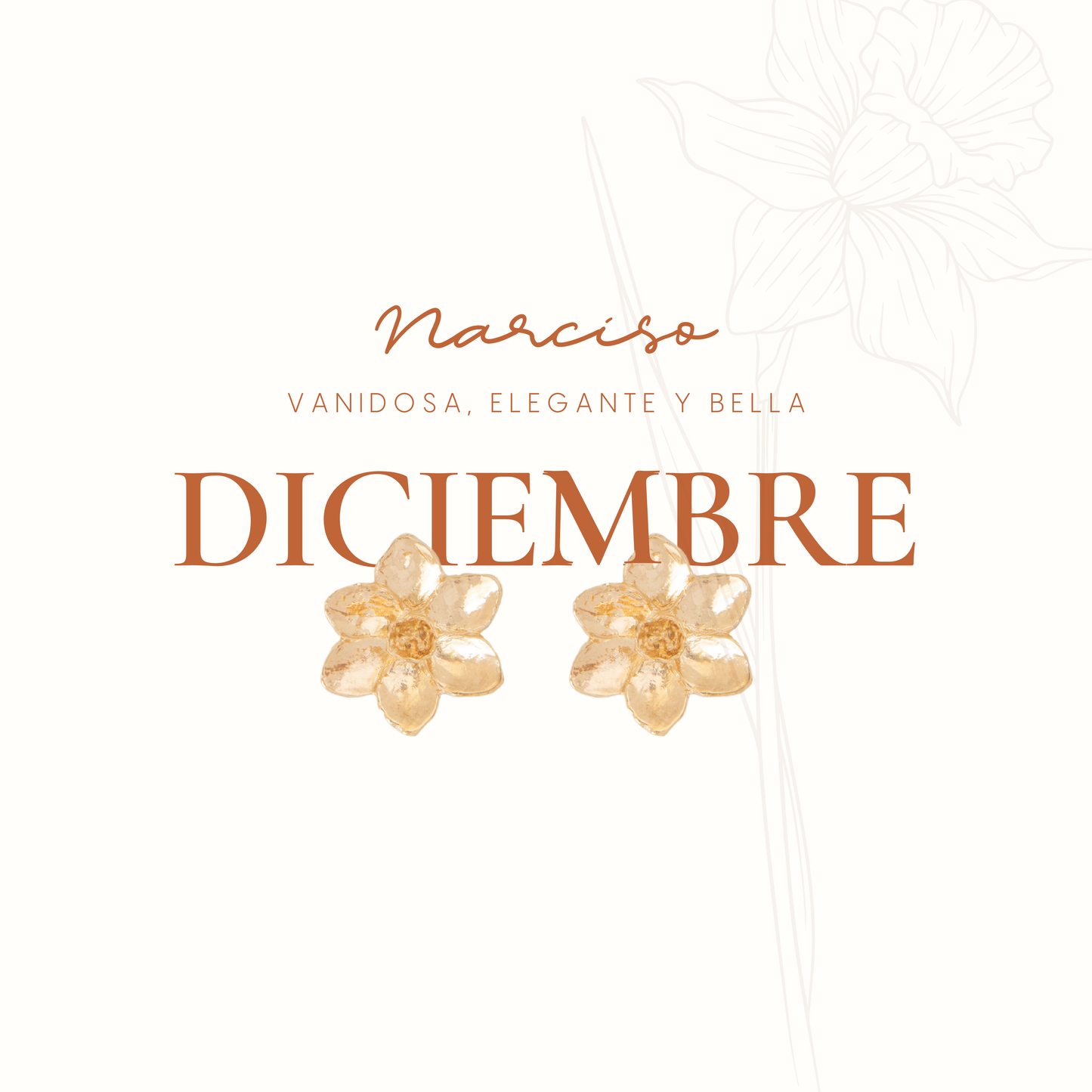 BROQUEL ENTRE FLOR, DICIEMBRE- NARCISO