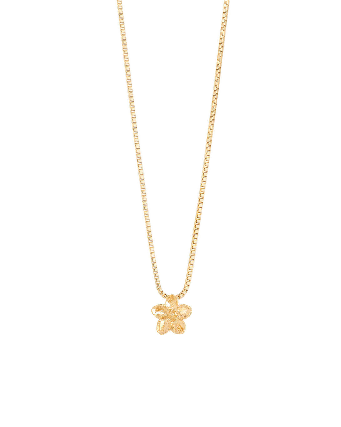 COLLAR ENTRE FLOR, MARZO- FLOR DE CEREZO
