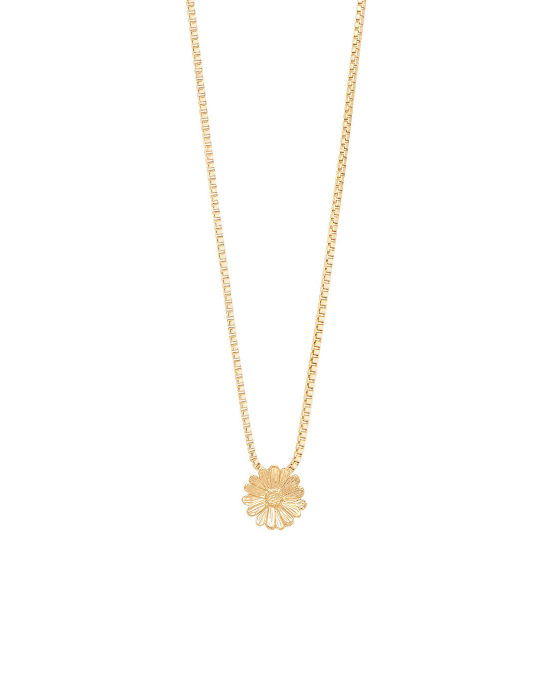 COLLAR ENTRE FLOR, ABRIL- MARGARITA