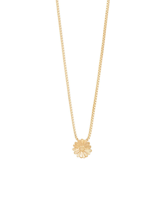 COLLAR ENTRE FLOR, ABRIL- MARGARITA