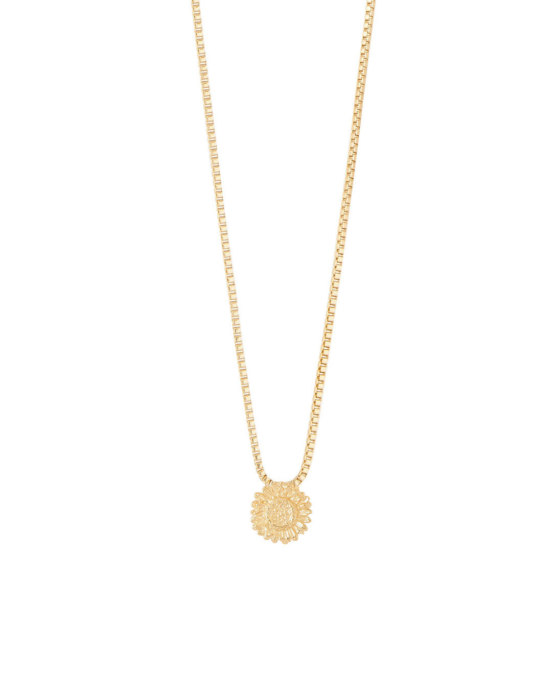 COLLAR ENTRE FLOR, AGOSTO- GIRASOL