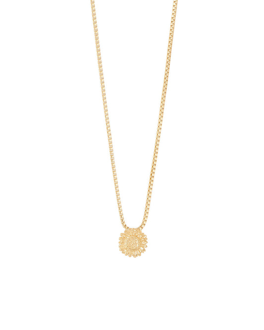 COLLAR ENTRE FLOR, AGOSTO- GIRASOL