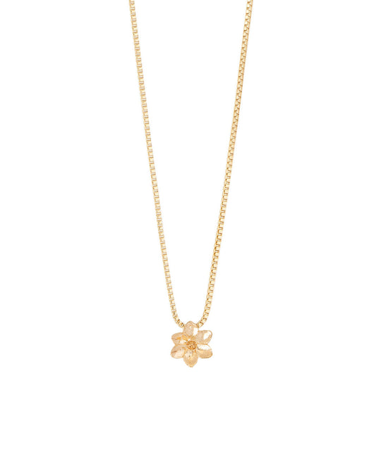 COLLAR ENTRE FLOR, DICIEMBRE- NARCISO