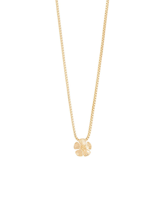 COLLAR ENTRE FLOR, ENERO- GERANIO