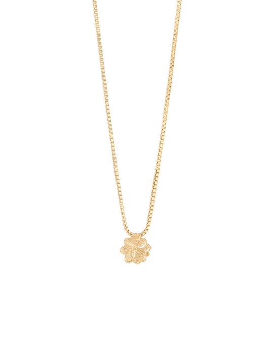 COLLAR ENTRE FLOR, FEBRERO- VIOLETA