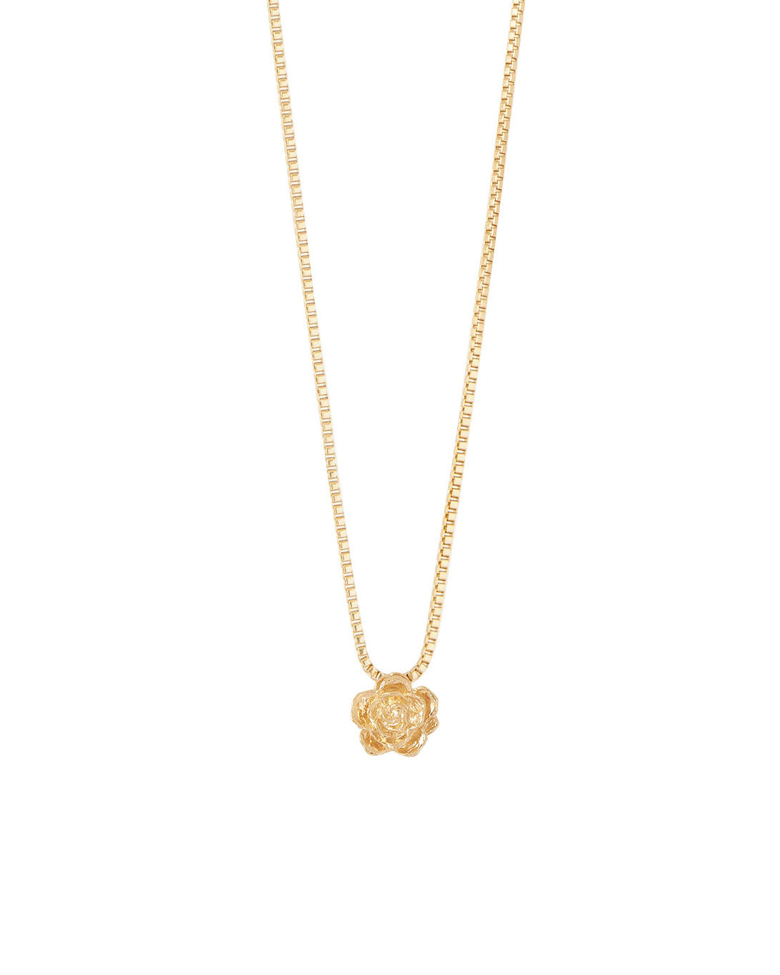 COLLAR ENTRE FLOR, JUNIO- ROSA