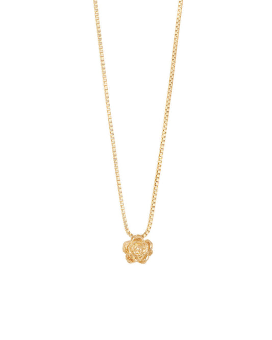 COLLAR ENTRE FLOR, JUNIO- ROSA