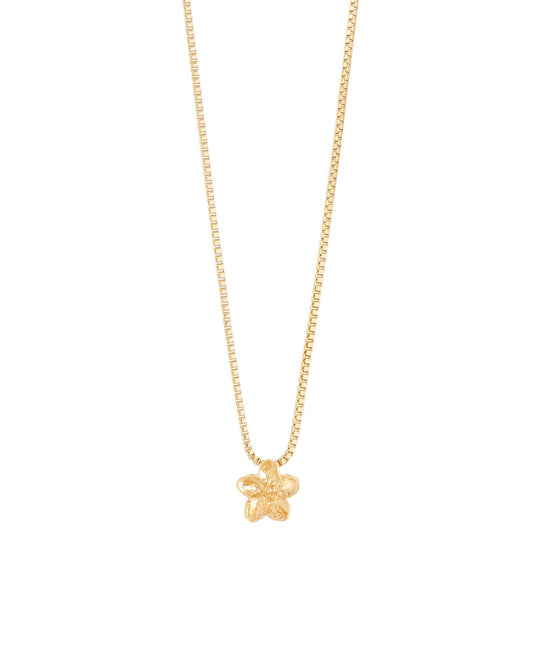 COLLAR ENTRE FLOR, MARZO- FLOR DE CEREZO