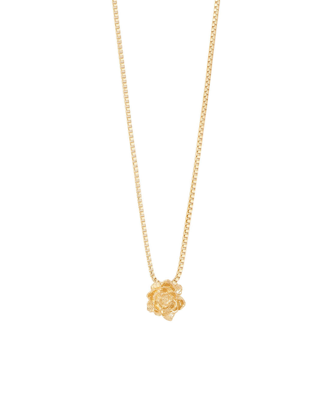 COLLAR ENTRE FLOR, MAYO- PEONIA