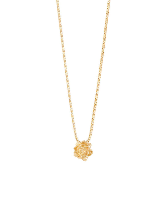 COLLAR ENTRE FLOR, MAYO- PEONIA